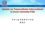 [SCC2009]Update on Transcatheter interventions in lower extremity PAD